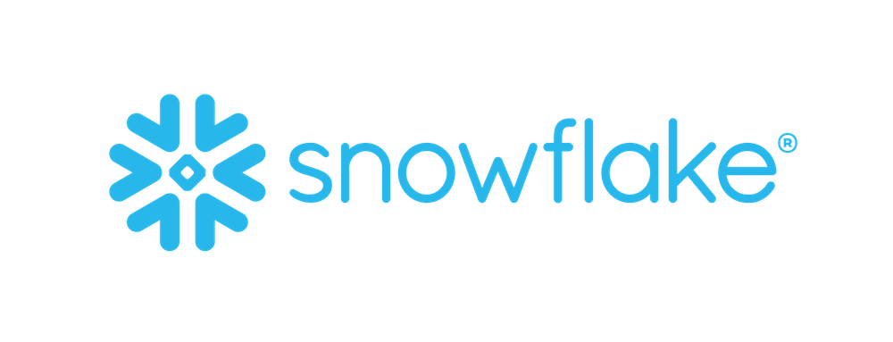 12.snowflake-logo-BLUE
