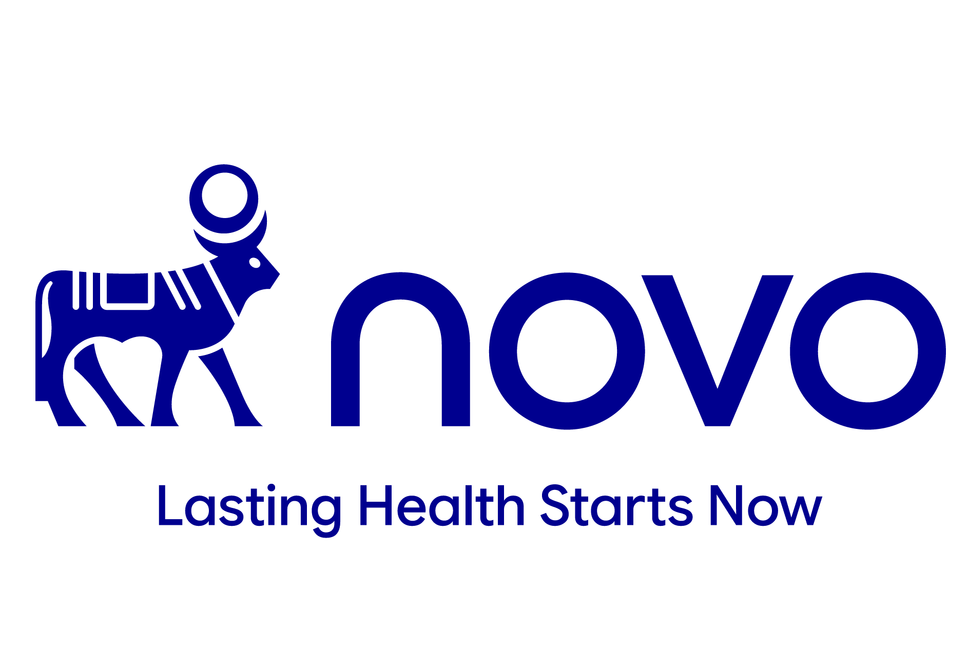 NovoNordisk Logo
