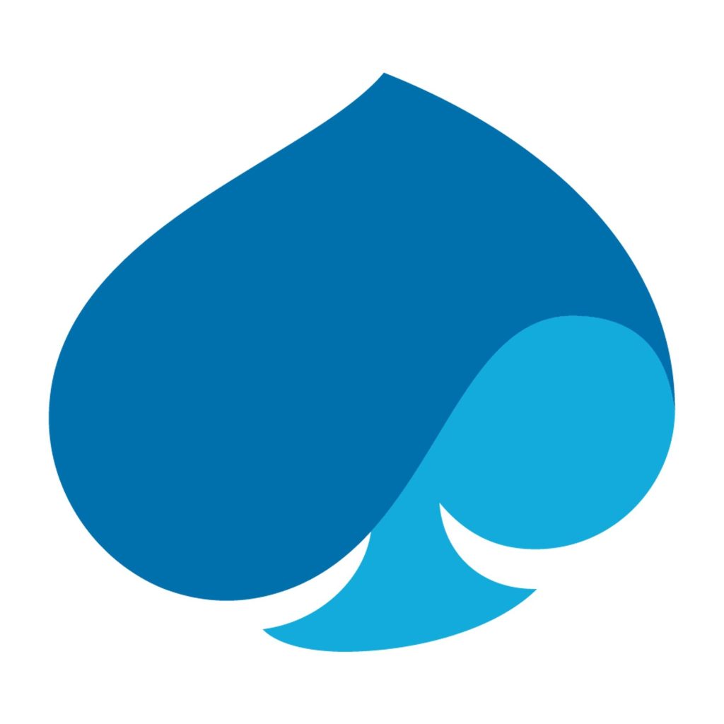 Capgemini icon